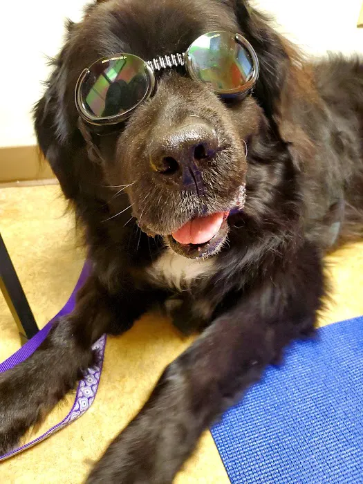 Docton Animal Clinic 5