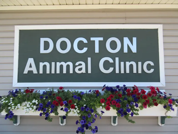 Docton Animal Clinic 1