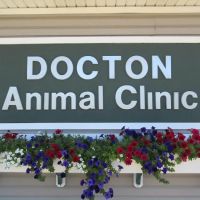 Docton Animal Clinic ico