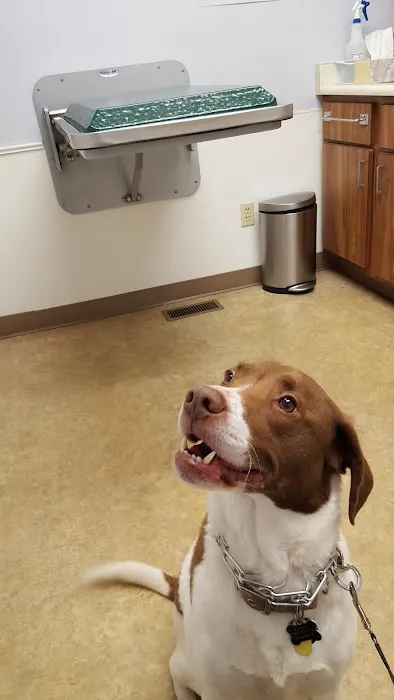 Docton Animal Clinic 7