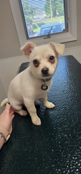 Docton Animal Clinic: Cathers Tama DVM 1