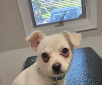 Docton Animal Clinic: Cathers Tama DVM