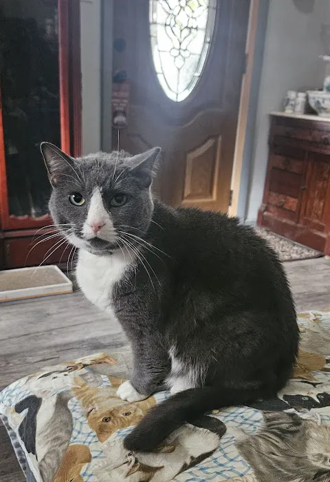 Springboro Veterinary Hospital and Urgent Care. 4