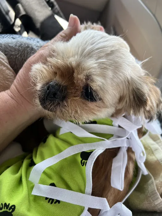 Springboro Veterinary Hospital and Urgent Care. 5