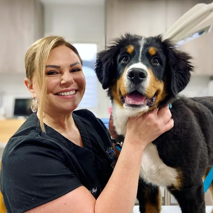 Springboro Veterinary Hospital and Urgent Care. 8