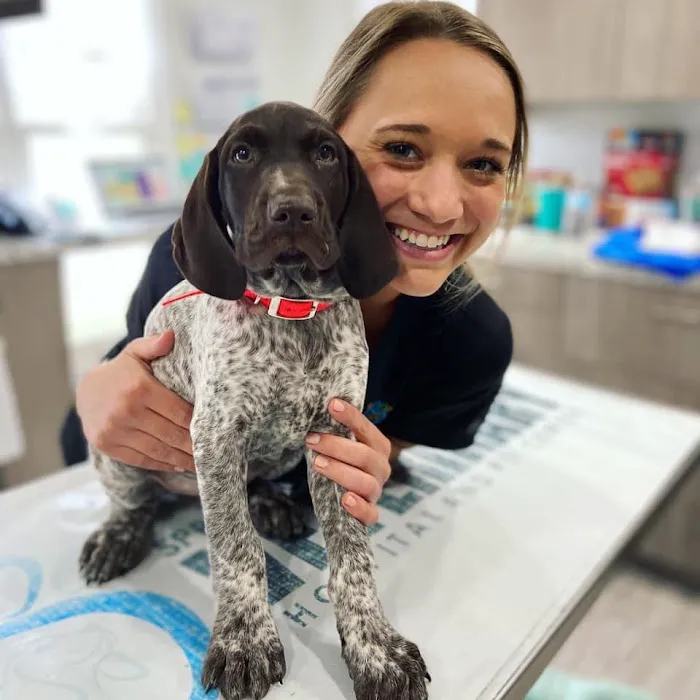 Springboro Veterinary Hospital and Urgent Care. 9