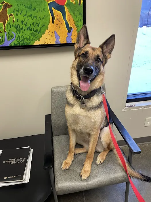 Animal Medical Center of Springboro 2