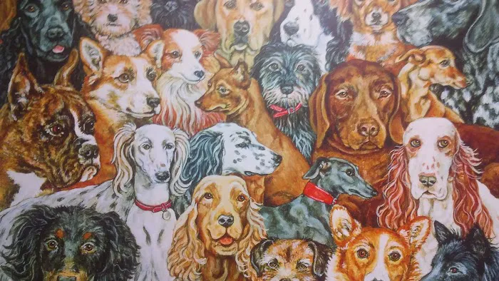 Animal Medical Center of Springboro 3