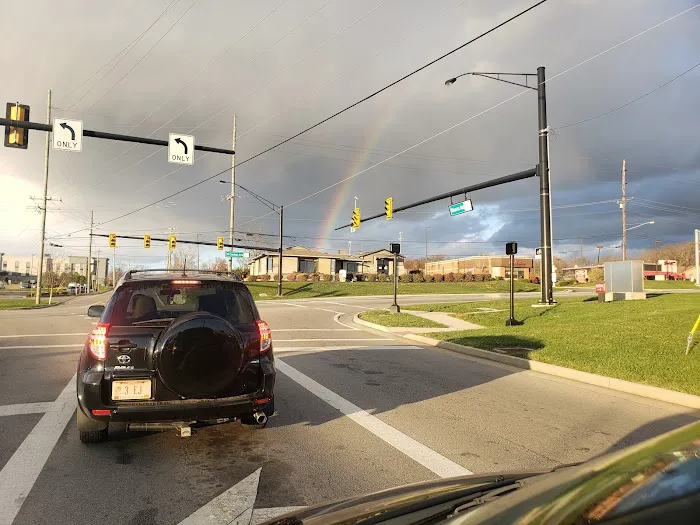 Animal Medical Center of Springboro 1