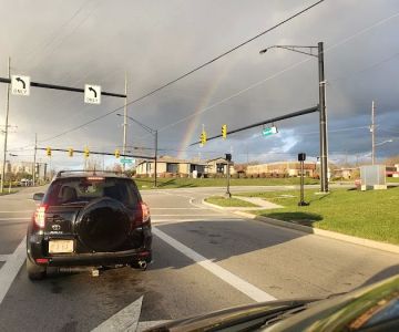 Animal Medical Center of Springboro