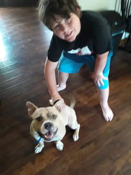 Animal Medical Center of Springboro 10