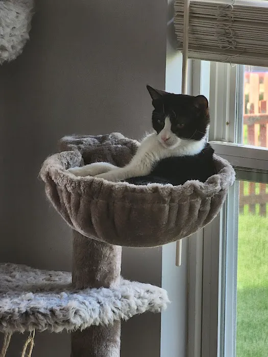 Moore Veterinary Hospital 10