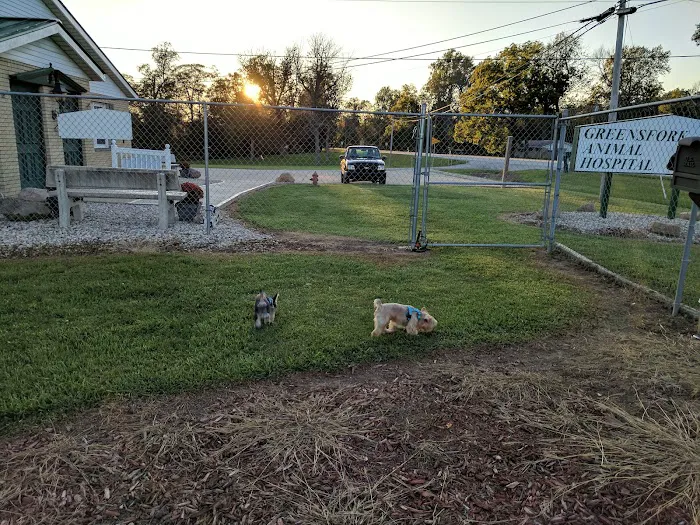 Greens Fork Animal Hospital 12