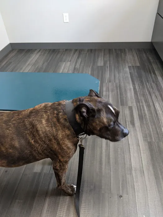 Lynn Veterinary Hospital 1
