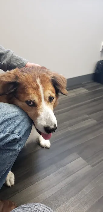 Lynn Veterinary Hospital 2