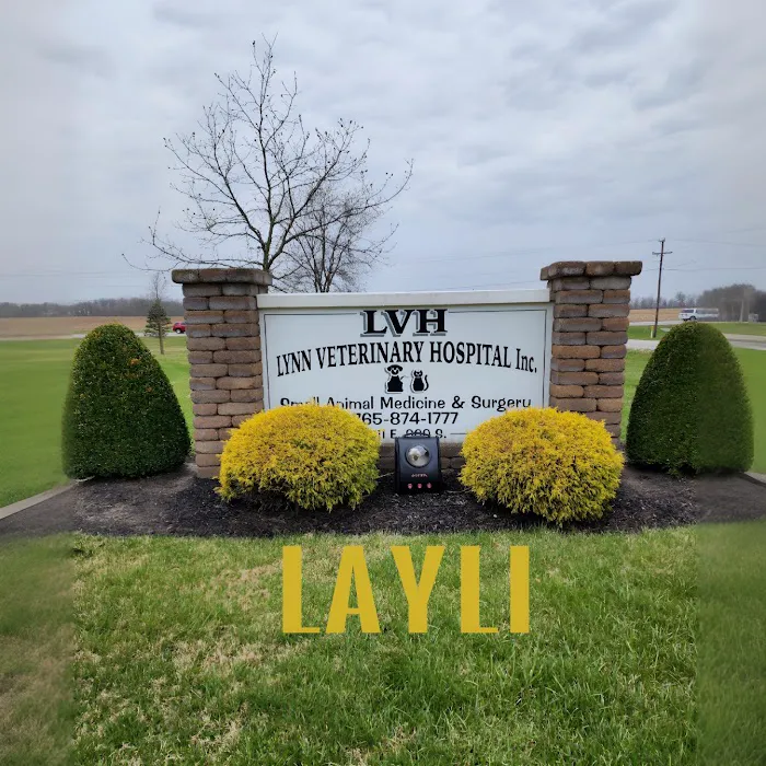 Lynn Veterinary Hospital 6