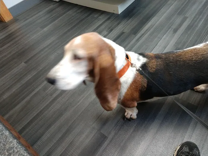 Lynn Veterinary Hospital 5