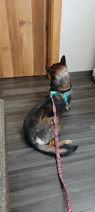 Lynn Veterinary Hospital 4