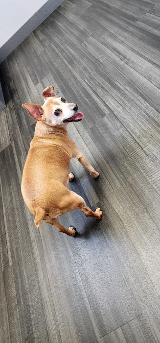 Lynn Veterinary Hospital 10