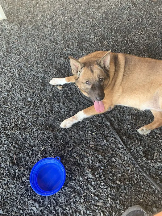 Lynn Veterinary Hospital 9