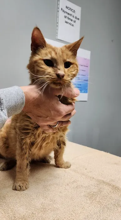 Animal Care Alliance 12