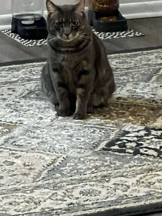 Boulevard Animal Hospital 8