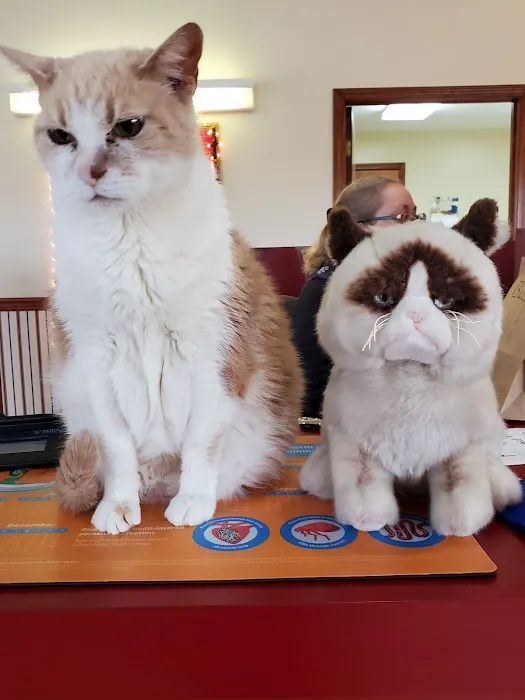 Animal Hospital of Richmond 1