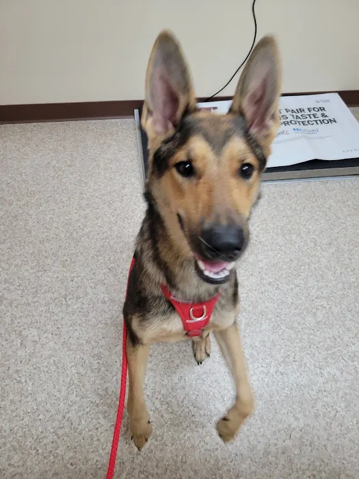 Animal Hospital of Richmond 6