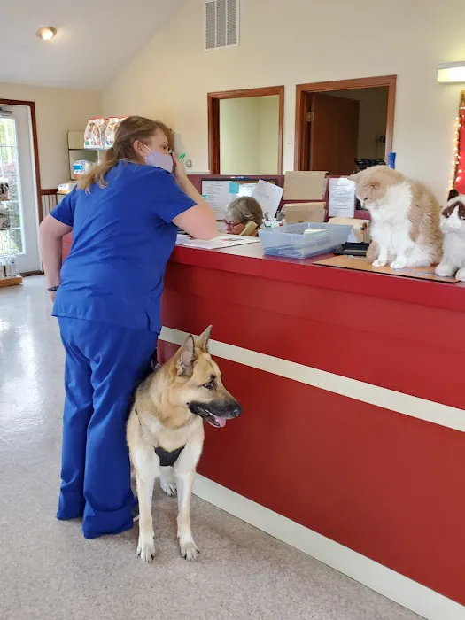 Animal Hospital of Richmond 8