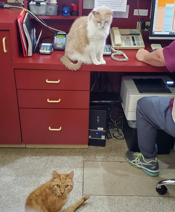 Animal Hospital of Richmond 9
