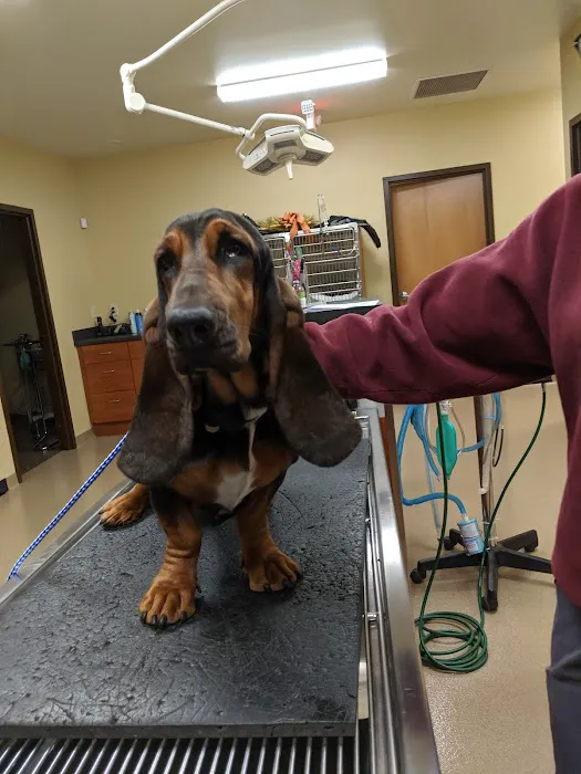 Grove Veterinary Clinic 7