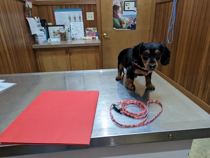 Logue's TLC Pet Hospital, LLC 12