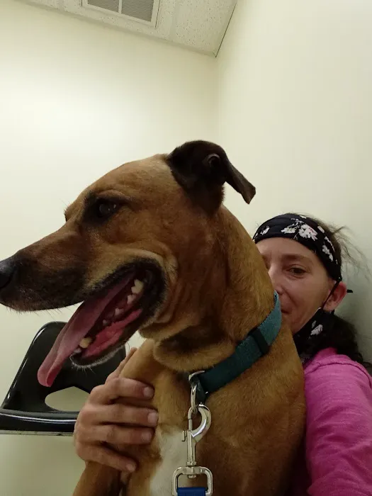 Riverview Animal Hospital 12