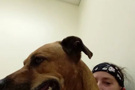Riverview Animal Hospital