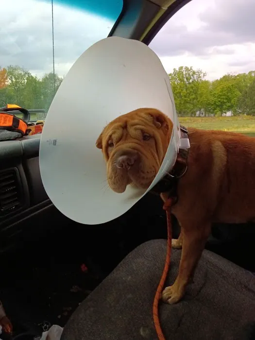 Riverview Animal Hospital 12