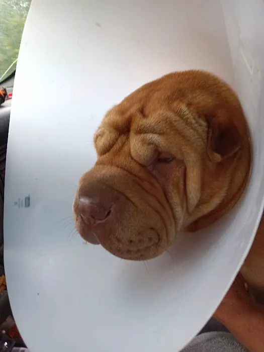 Riverview Animal Hospital 12