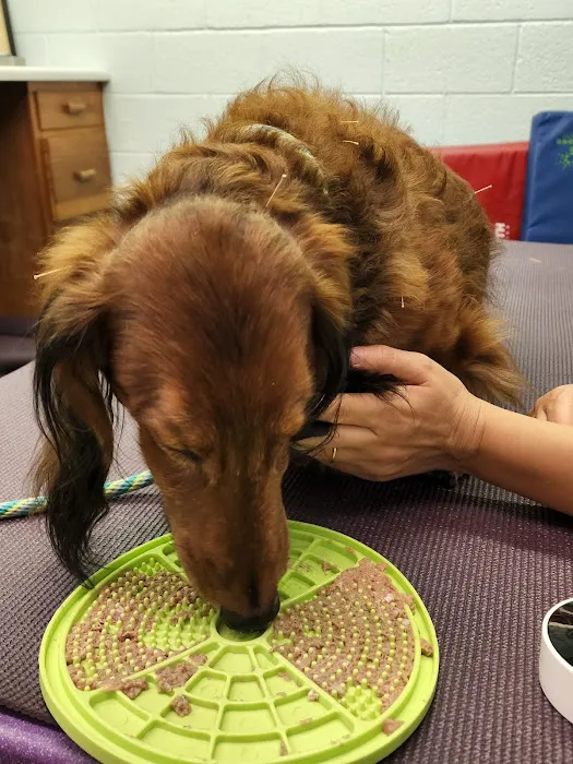 Westview Animal Clinic 5