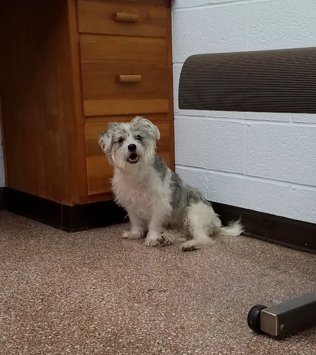 Westview Animal Clinic 3