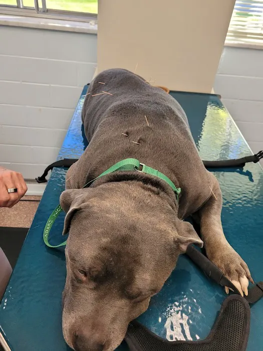Westview Animal Clinic 4