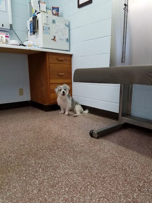 Westview Animal Clinic 6