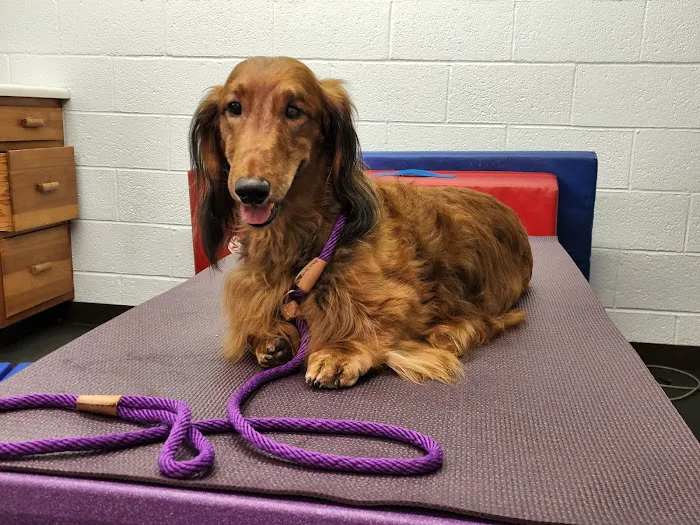 Westview Animal Clinic 2