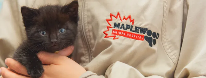 Maplewood Animal Hospital 1