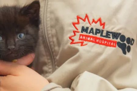 Maplewood Animal Hospital