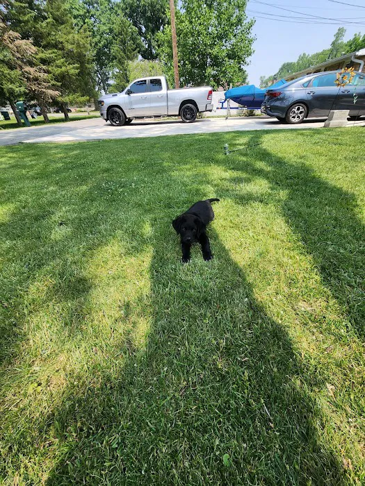 Maplewood Animal Hospital 6
