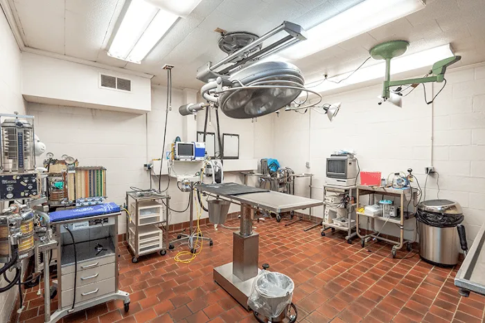 Maplewood Animal Hospital 8
