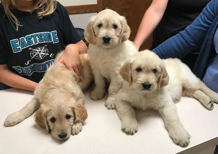 Alexandria Animal Hospital 8