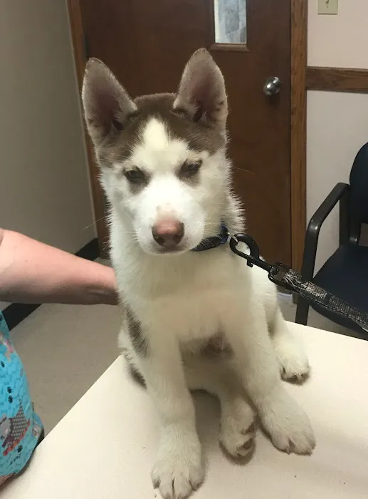 Alexandria Animal Hospital 10