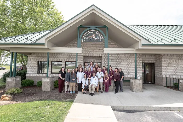 Care Animal Hospital 2