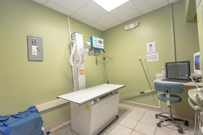 Care Animal Hospital 1