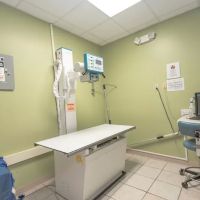Care Animal Hospital ico